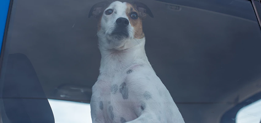 Car Lockout Solutions in Blythe, California